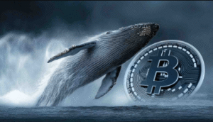 Crypto Whale Activity Explained